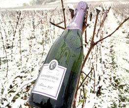 CHAMPAGNE RÉDEMPTEUR image 7