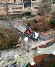 Baummensch GmbH Bild 6