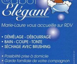 Le Cabot Elegant image 11