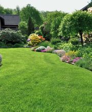 Mahrer Gartenbau GmbH Bild 5