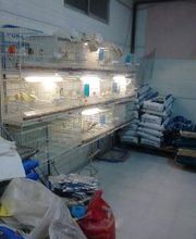 Piensos Alonso imagen 20