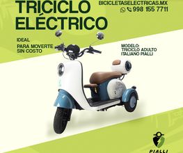 El triciclo eléctrico Pialli Italiano ofrece máxima estabilidad para adultos y adultos mayores. Motor 500W, autonomía de hasta 40–50 km y asiento doble con respaldo y baúl.