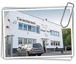 Rüdiger Wolf Tierarztpraxis Bild 3