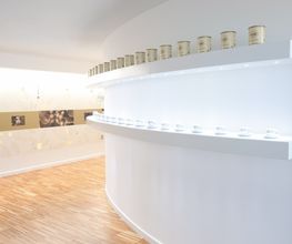 Gallery Cliente