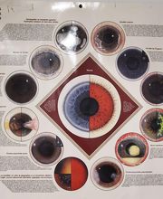 Alamé Mahmoud image 5