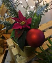 Envolée Florale image 11