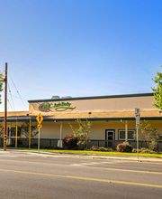 G & C Auto Body image 1