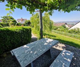 hollenstein blumengarten ag-Blumenshop-Gärtnerei-Gartenbau-Unterhalt-Grabpflege Bild 7