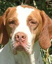 Elevage de L'étang Du Vert image 3