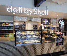 Shell image 3
