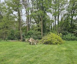 Arbres et Cimes image 8