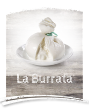 Gallery Professionale