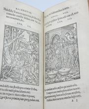 La Librairie Bourbonnaise image 4