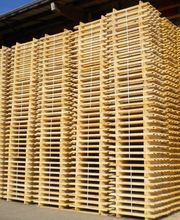 Bachmann Sägerei AG Bild 10