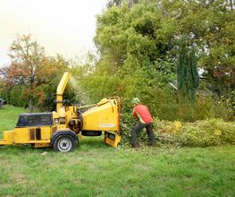 Daniels Baum- & Gartenservice Bild 12