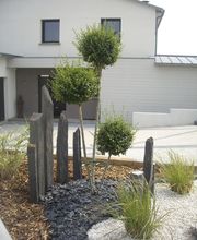 Vert Cleres image 7
