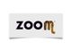 Zoom Torino