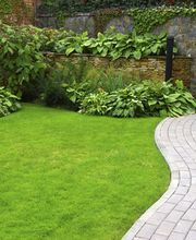 KOCEV T. Paysagiste Sàrl Bild 7