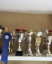 Joli Chien ! image 4