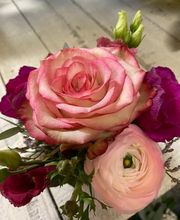 Fleur Evasion Sàrl Bild 7