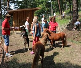 Camping und Ferienpark Buntspecht Bild 3