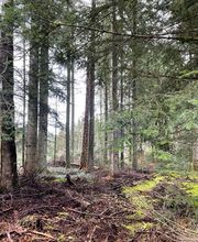 Exploitation Forestière Chanal Eric EFCE image 2