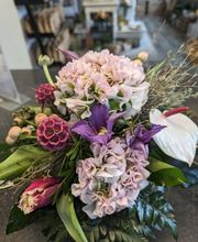 Budberger Blümchen Bild 6