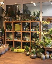 Blumen Interfleur Floristik & Wohnaccessoires Bild 2