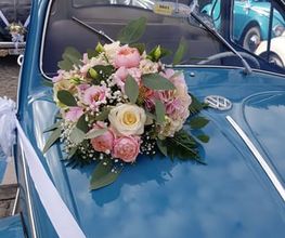 Wiedmer-Blumen AG Bild 3
