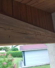 Termites Master image 9