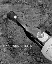 Le Temps Des Sages image 4