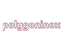 Polygoninox image 1