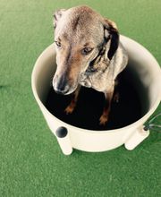 Magnetfeld-Therapiegerät