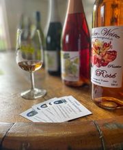 Weinbau Leuengrund - Schneider Weine Bild 8