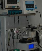 anubis-clinica-veterinaria-equipo-veterinario-02.jpg