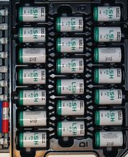 Roig Raymond image 19