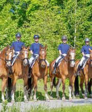 Reitstall Bühl Bild 7