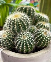 Bricomarché Maiche image 14