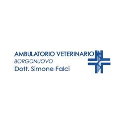 Ambulatorio Veterinario Borgonuovo logo