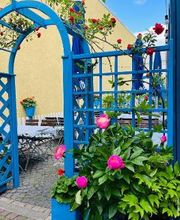 Bacchus Keller Griechisches Restaurant Bild 20