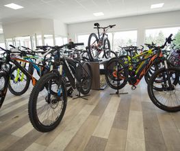 Kollmer Bikes Bild 1