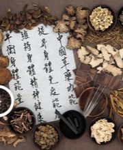 TCM Zhen GmbH Bild 6