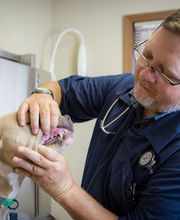 Skinner Animal Clinic image 15