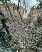 Roye Garden image 14