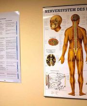 Ilona Pröbster Heilpraktikerin Bild 7