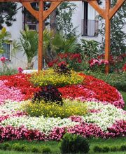 Résidence Les Primevères image 8