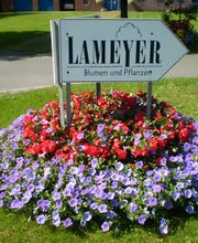 Lameyer Blumen und Pflanzen Bild 3