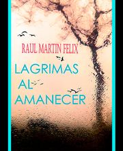 raul martin felix imagen 12