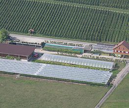 Auer Reben GmbH Bild 1