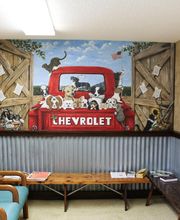 Shawnee Animal Hospital image 16